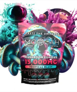 Mega-Dose Mushroom Gummies - Tropical Blast