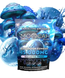 Mega-Dose Mushroom Gummies - Martian Margarita